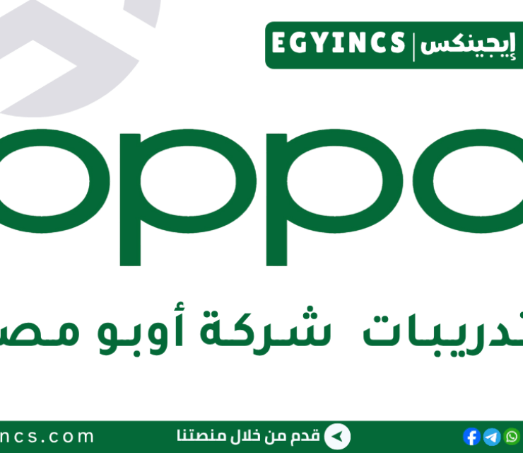 تدرريب إدخال بيانات في شركة أوبو مصر OPPO Egypt Data Entry Clerk Internship