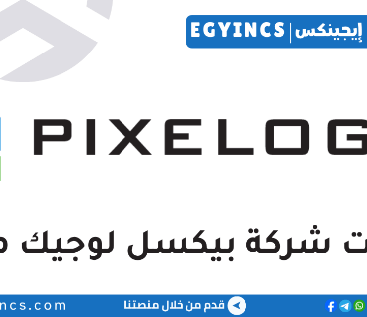 التدريب الشتوي في شركة بيكسل لوجيك ميديا 2026 Pixelogic Media Winter Internship