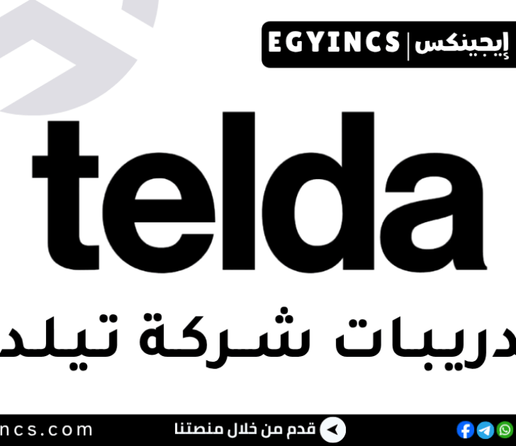 تدريب تجربة العملاء في شركة تيلدا Telda Customer Experience Internship