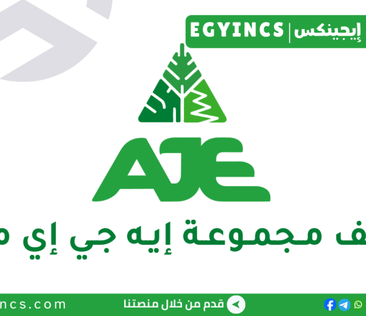 وظيفة أخصائي إدخال بيانات – عمليات التصفية في مجموعة إيه جي إي مصر AJE Egypt Data Entry Specialist – Liquidation Operations Job