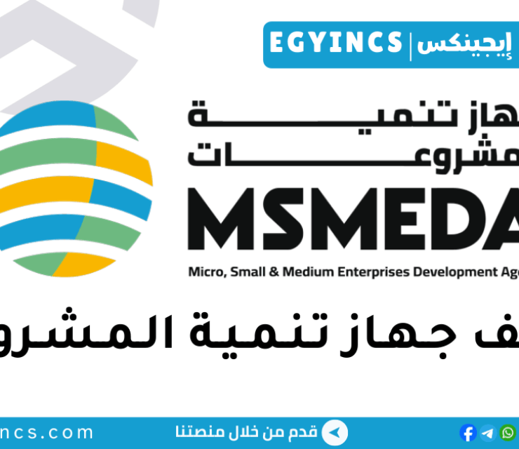وظيفة أخصائي البيانات المالية في جهاز تنمية المشروعات المتوسطة والصغيرة ومتناهية الصغر MSMEDA Financial Statements Specialist Job