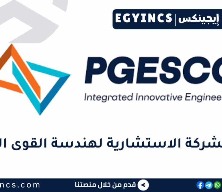 برنامج التدريب الشتوي في الشركة الاستشارية لهندسة القوى الكهربائية بجسكو PGESCO Egypt Winter Internships