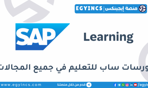 الصورة المصغرة للدورة