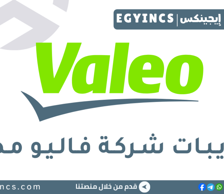 تدريب ذكاء الأعمال في شركة فاليو مصر Valeo Egypt Graduate In Training Program (GIT), Business Intelligence
