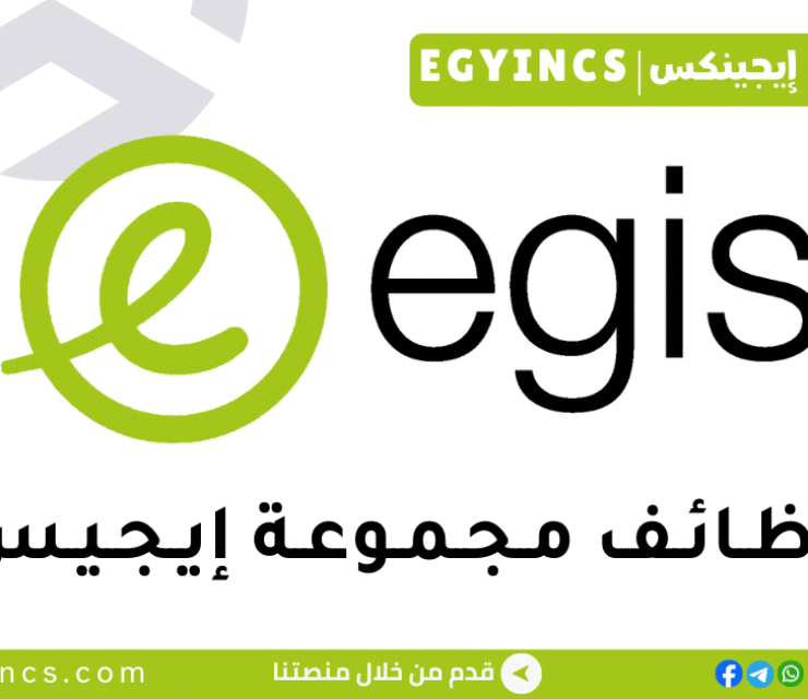 مجموعة إيجيس Egis Group