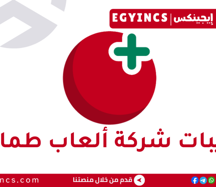 تدريب تحرير الفيديو والرسوم المتحركة في شركة ألعاب طماطم Tamatem games Video Editing & Motion Graphics Internship