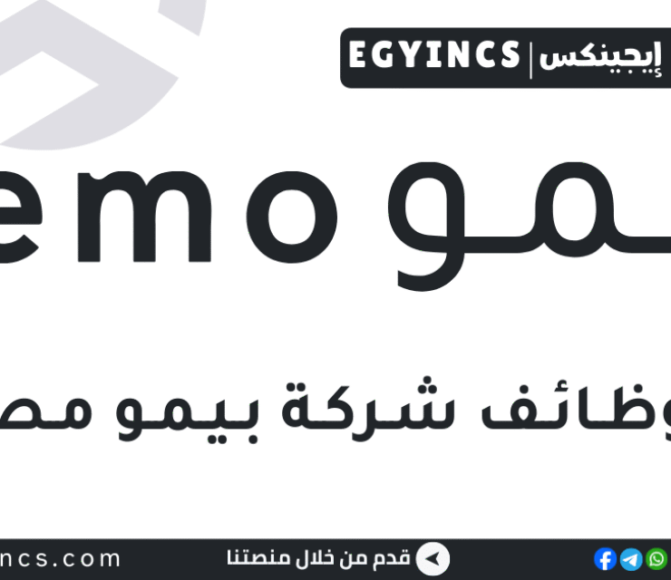وظيفة محاسب مبتدئ في شركة بيمو مصر Pemo Egypt Junior Accountant Job