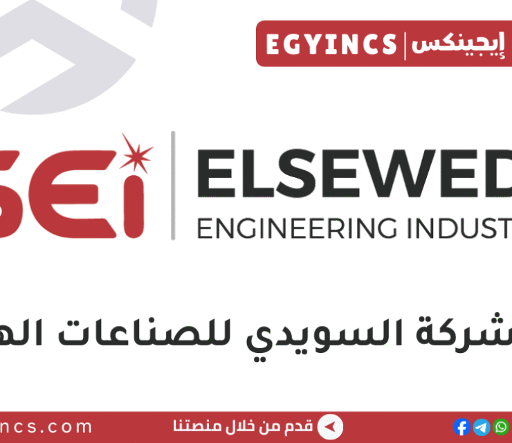 وظيفة مهندس إدارة مشاريع في شركة السويدي للصناعات الهندسية ElSewedy Engineering Industries SEI Project Management Engineer Job